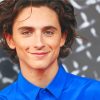 the actor Timothee Chalamet adult paint by numbers