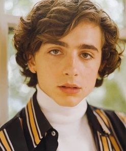 Timothee Chalamet Portrait