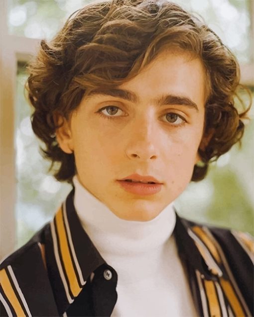 Timothee Chalamet Portrait