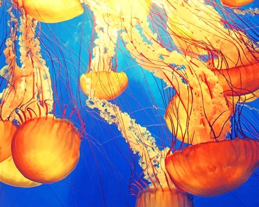 Jellyfish Illustration Paint By Numbers