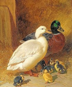 Mallard Ducks Paint By Numbers