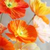 Orange And Yellow Poppies Flowers Paint By numbers