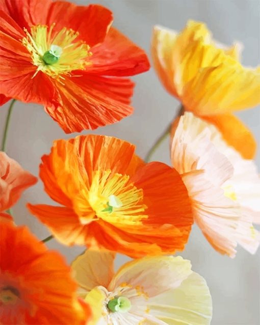 Orange And Yellow Poppies Flowers Paint By numbers