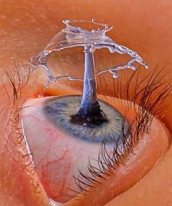 Eye Drop Paint By Numbers