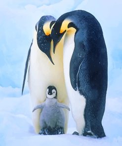 Penguin Family paint By Numbers