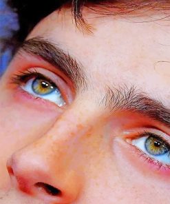 Timothee Chalamet Eyes Paint by Numbers