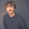 Timothee Chalamet Portrait Paint By Numbers