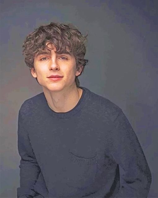 Timothee Chalamet Portrait Paint By Numbers