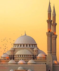 Al Noor Mosque United Arab Emirates Paint By Numbers