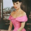 Audrey Hepburn Pink Dress adult paint by numbers