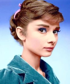 Audrey Hepburn Portrait adult paint by numbers