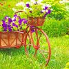 Bicycle Garden Flowers Paint By Numbers