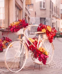 Bike And Flowers paint by numbers