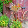 Bike With Flower Basket paint by number