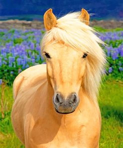 Blonde horse adult paint by numbers