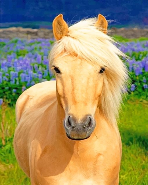 Blonde horse adult paint by numbers