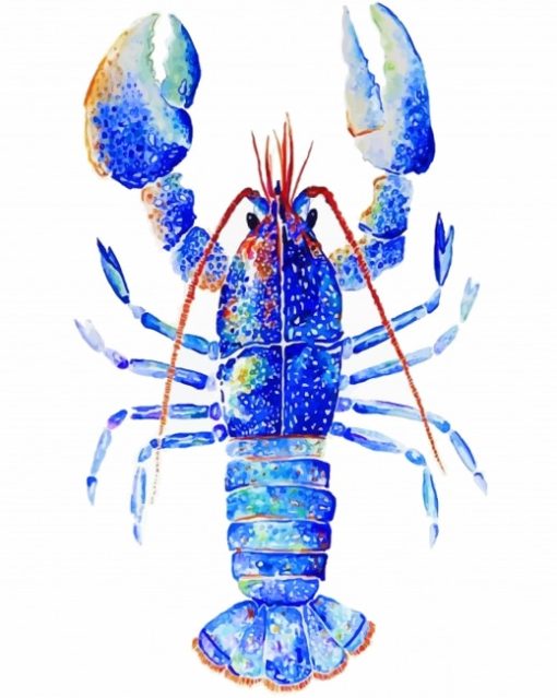 Blue Lobster Art adult paint by numbers