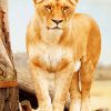 Brown lioness standing adult paint by numbers