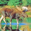 Bull Moose Water adult paint by numbers