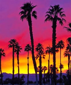 California palm tree sunrise adult paint by numbers