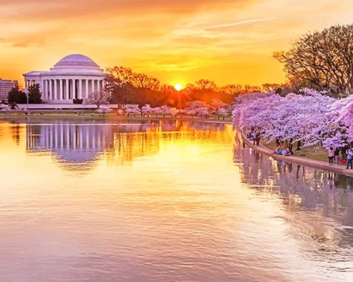 Cherry Blossom Washington Sunset Paint By Numbers