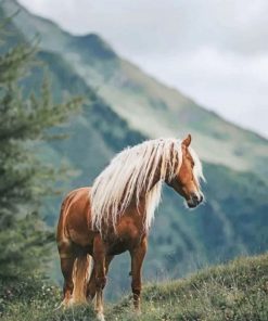 Horse In The Forest paint by numbers