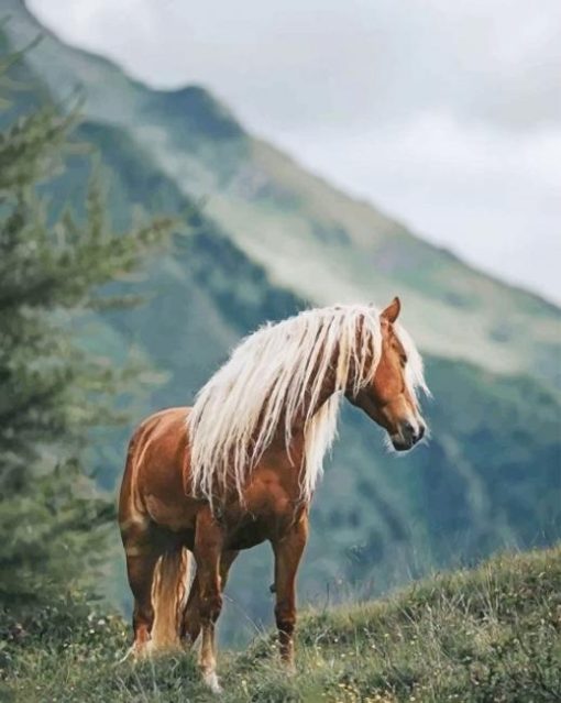 Horse In The Forest paint by numbers