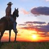 Cowboy into sunset adult paint by numbers