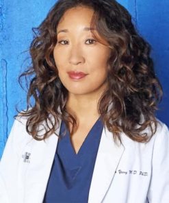 Cristina Yang Greys Anatomy adult paint by numbers