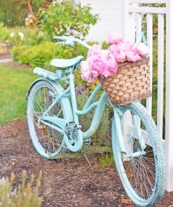 Cute Blue Bike With Flowers paint by numbers