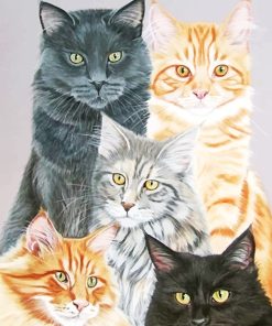 Cute cats adult paint by numbers