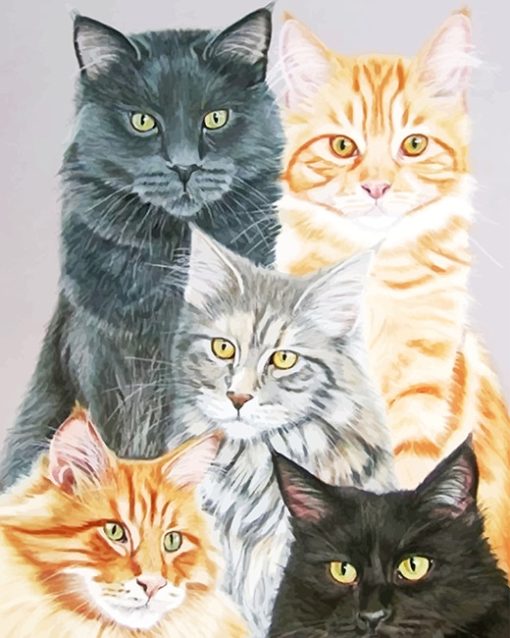 Cute cats adult paint by numbers