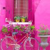 Cute Pink Wall Bike And Flowers paint By Numbers