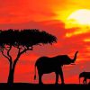 Elephants Sunset adult paint by numbers