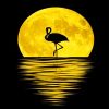 Flamingo Moon Silhouette Paint By Numbers