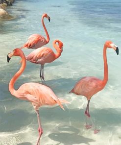 Flamingos birds adult paint by numbers