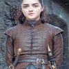 Game of thrones maisie adult paint by numbers