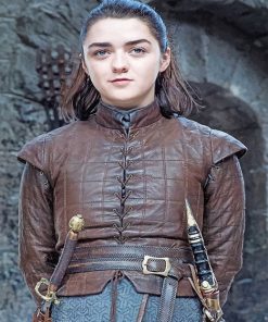 Game of thrones maisie adult paint by numbers