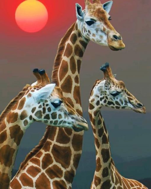 Giraffe With Babies In Sunset adult paint by numbers