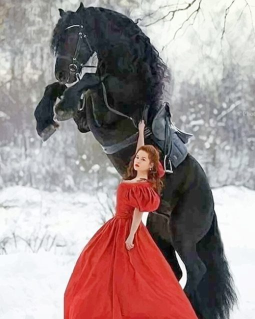 Girl with Black Horse adult paint by numbers