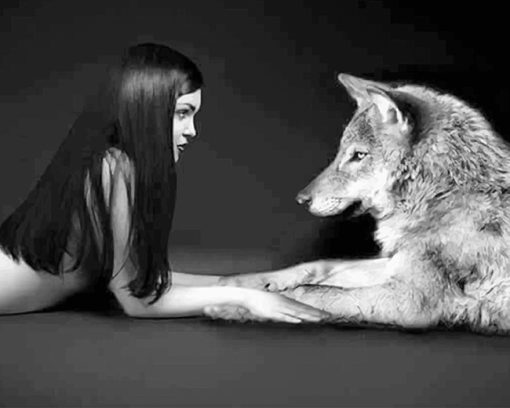 Girl with her wolf best friend adult paint by numbers