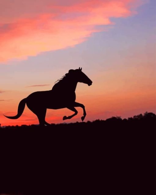 Horse Silhouette Sunset paint by numbers