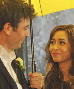 How I Met Your Mother Ted Mosby And Tracy paint by number