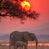 Indian Elephant Sunset paint by numbers