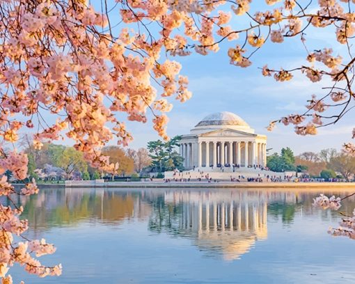 Jefferson Memorial In Cherry Blossom adult paint by numbers