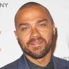 Jesse Williams Greys Anatomy adult paint by numbers