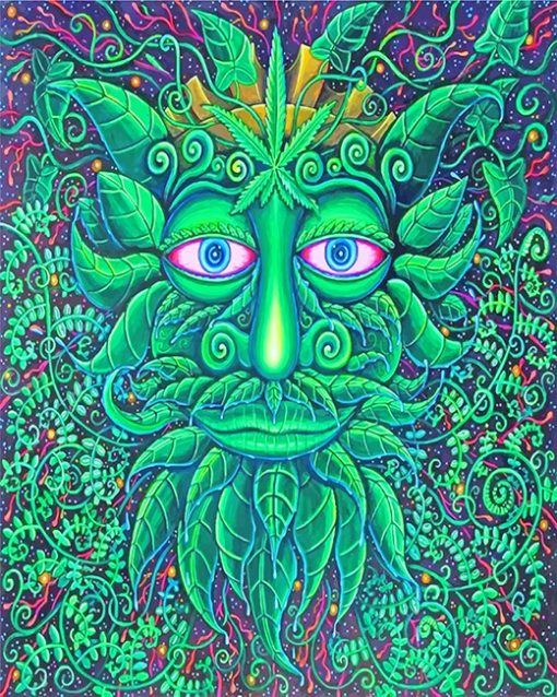 John speaker green man adult paint by numbers