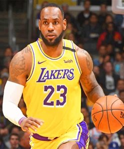 Lakers Lebron James paint by number