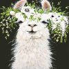 Lama with flowers adult paint by numbers