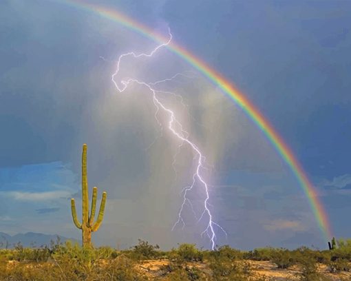 Lightning and rainbow adult paint by numbers